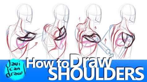 With our gesture indicating the tilt of the shoulders, we are going to mark a. SHOULDER BLADES ARE THE SECRET FOR DRAWING SHOULDERS ...