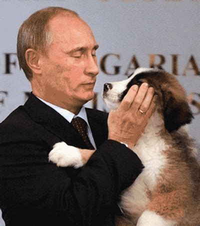 Find gifs with the latest and newest hashtags! el post que se merece putin +5 - Taringa!