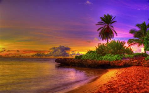 Tropical Sunrise Wallpapers Top Free Tropical Sunrise Backgrounds WallpaperAccess