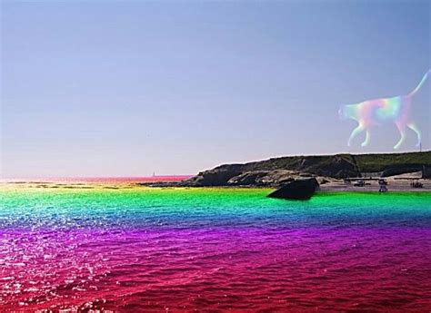 Rainbow Water Gimp Rainbow Pictures Rainbow Water Beautiful Wall