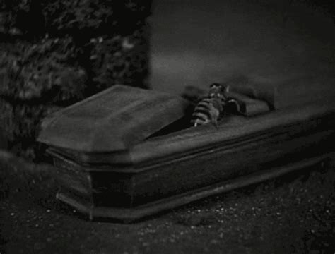 Coffin Gifs Get The Best Gif On Giphy Cool Gifs Dracula Film