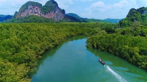 Aerial Thailand Top View Drone View Of River In Green