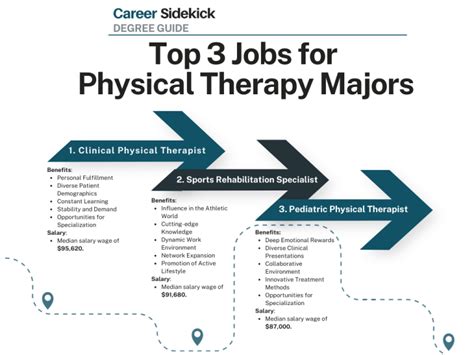 Top 15 Physical Therapy Degree Jobs Career Sidekick