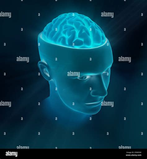 Genius Mind Hi Res Stock Photography And Images Alamy