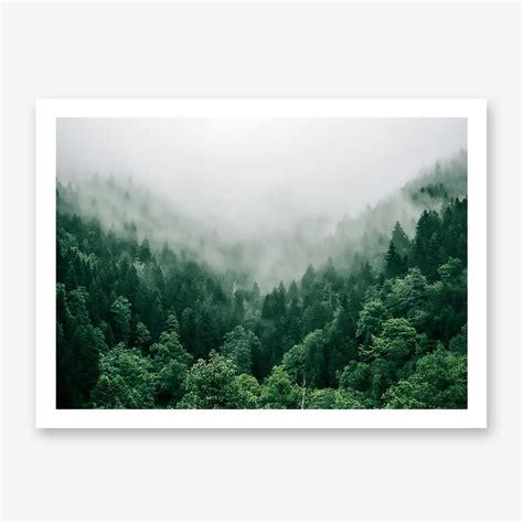 Foggy Mountain Forest Poster Print Forest Poster Print Etsy Uk