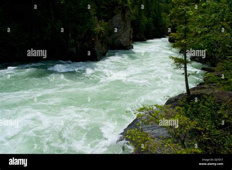 Fraser River Mt Robson Provincial Park British Columbia Canada Stock