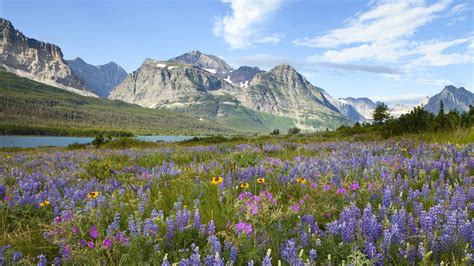 Glacier National Park Montana Canada