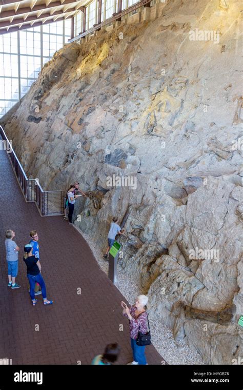 Visitors Admiring The Wall Of 1500 Dinosaur Fossils At The Dinosaur