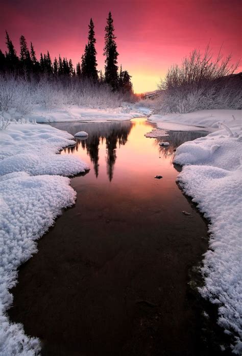 ~~ Winters Tones Ii ~ Cold Snowy Sunset Alaska By Ron