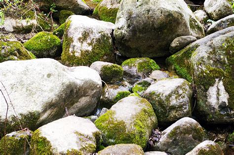 The River Washed Away Stones And Moss Background River Stone Moss