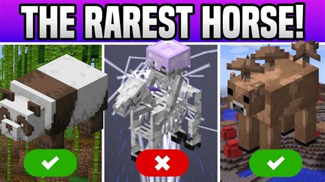 Minecraft Quest For The Skeleton Horse Extremely Rare Mob Youtube