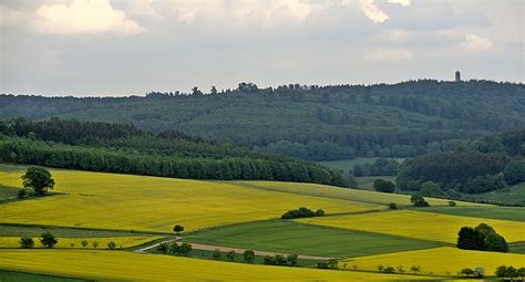 Gelbe Felder Foto And Bild Landschaft Äcker Felder And Wiesen Im