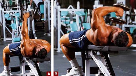 Lying Dumbbell Triceps Extension Bodybuilding Wizard