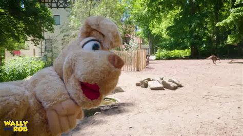 wally und rob im straßenverkehr top hier seht ihr unseren teaser zu wally dem wallaby und