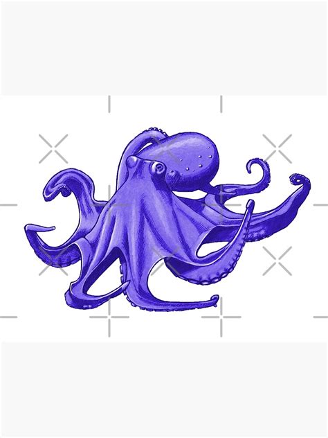 Purple Octopus Sketch Art Print For Sale By Rachelkambeitz Redbubble