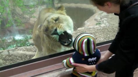 21 Times Kids Visited The Zoo And Had Some Special Encounters With The