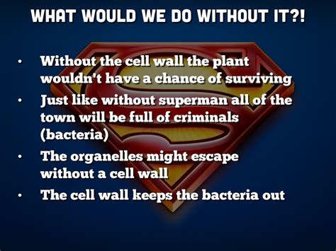 Cell wall is present in plant cell that's why plant are rigid (fixed). Cell Wall Project by Alyssa Negron
