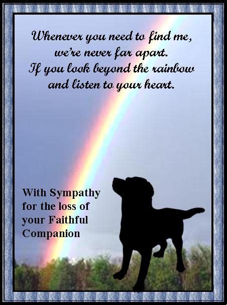 Pet Sympathy Card Pets Are Devoted Companions And Their Owners Mourn