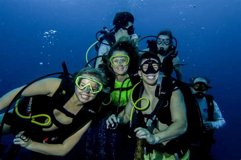 Learn To Dive In Cozumel Scuba Life Cozumel Cozumel Scuba Diving