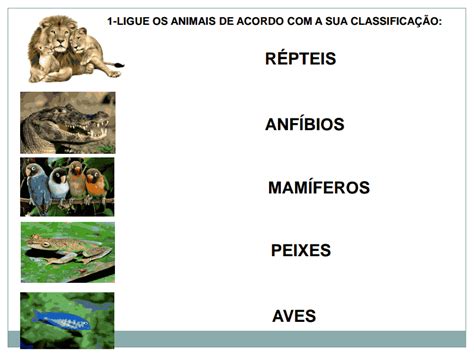 Blog Luís Sarte Atividade Para Trabalhar ClassificaÇÃo De Animais