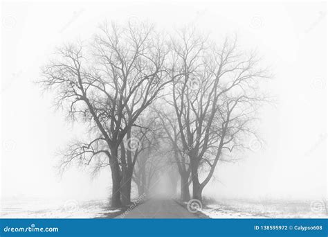 Country Road To Nowhere Mysterious Foggy Road Stock Photo Image Of