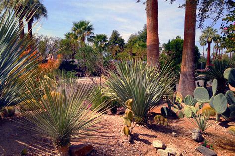 An extension of your home. Phoenix Landscape Design | Custom Landscaping | Envirogreen