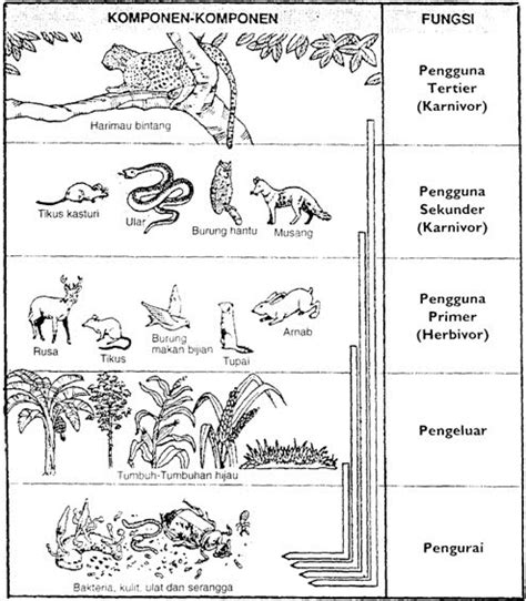 Kertas ini (sejarah islam) memberi tumpuan kepada sejarah islam dari tahun 500 hingga tahun 1918. Nota Geografi STPM SMKRP: Soalan Latihan 2
