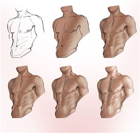 Anatoref Body And Torso Male Body Drawing Body Reference Drawing