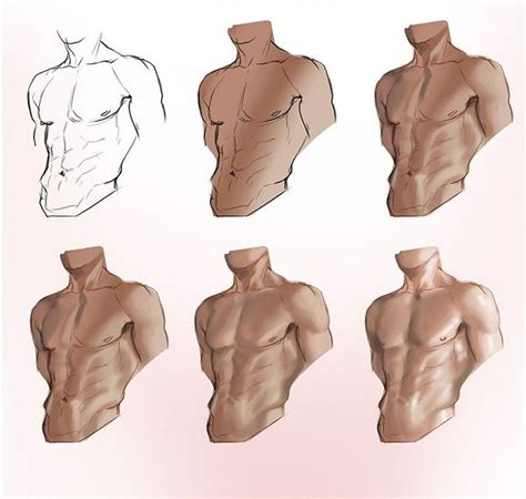 Anatoref — Body And Torso Male Body Drawing Anatomy Art Human