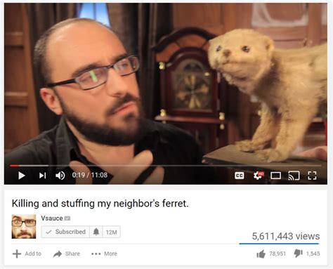 Ferret Vsauce Edits Know Your Meme