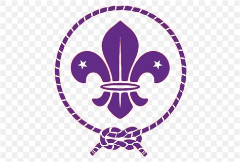 World Organization Of The Scout Movement World Scout Emblem Scouting