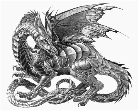 Ders., wiederkehr der dtachen (anm. Tattoo Sprüche: drachen tattoo