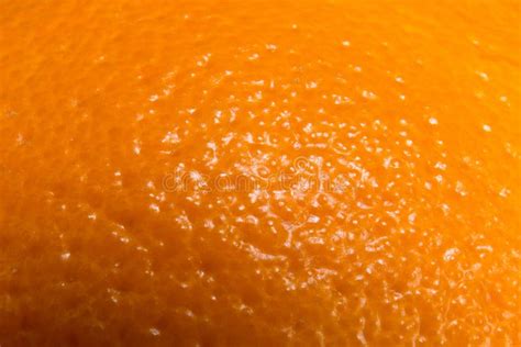 A Close Up Shot Of Orange Skin Stock Photo Image Of Dimples Closeup