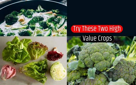 2 High Value Crops You Must Include In Your Diet
