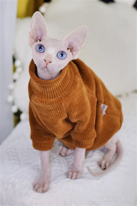 Elegant Warm Sphynx Cat Sweater Fashion Kitty Hairless Cat Etsy