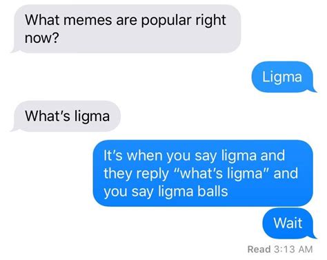 Ligma Rbadfaketexts