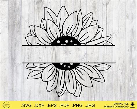 Sunflower SVG Sunflower Name Frame Split Sunflower Cut File Cricut