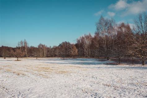 Open Farm Field With Snow In Winter Stock Image Image Of Park