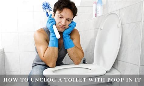 Fast And Easy Ways How To Unclog A Toilet With Poop In It