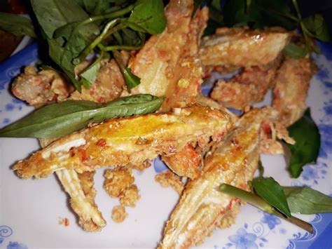 Siêu thị đầu tiên tại việt nam bán chó cưng giá 35 triệu/con ở aeon mall tân phú. Review Quán ốc 67 ngay vòng xoay siêu thị Aeon Tân Phú - Đạt V