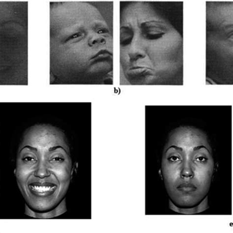 Main Studies Of Emotional Facial Expression Discrimination In Infants