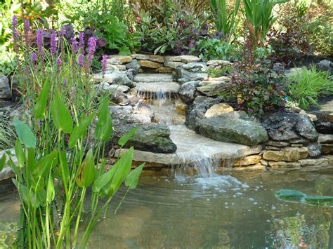 A backyard garden pond with running water, floating plants and darting fish can make a bland space breathtaking. Garden Ponds And Waterfalls | Smalltowndjs.com