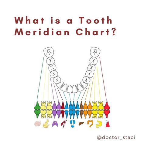 What Is A Tooth Meridian Chart Sensitive Teeth Oral Hygiene Chart