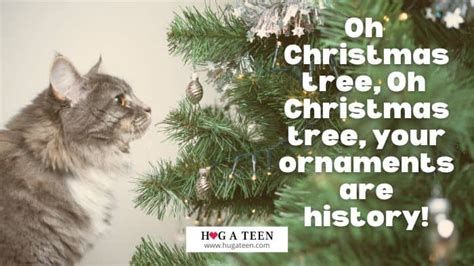 Funny Cat Christmas Puns Jokes Quotes And Photos