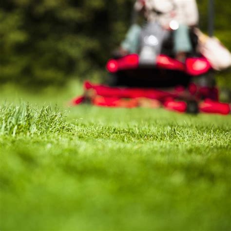 Lawn Care - Mowing, Edging, Trimming | A-1 Lawn Care and Snow Removal