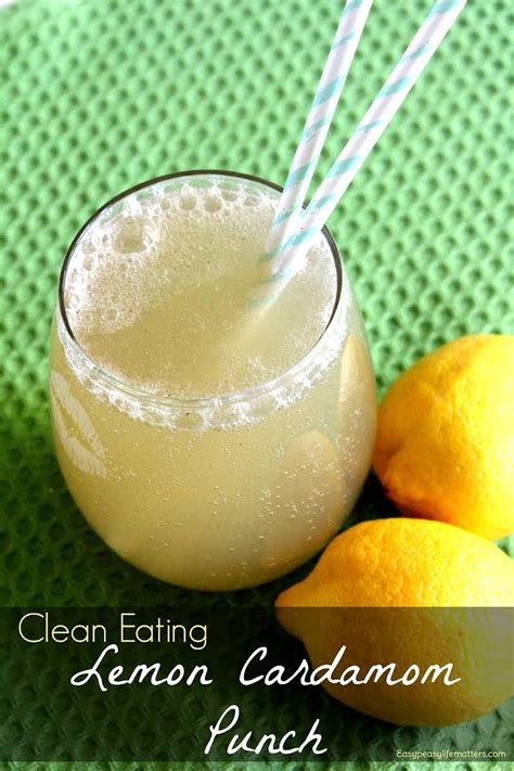 10 Best Lemon Punch Recipes