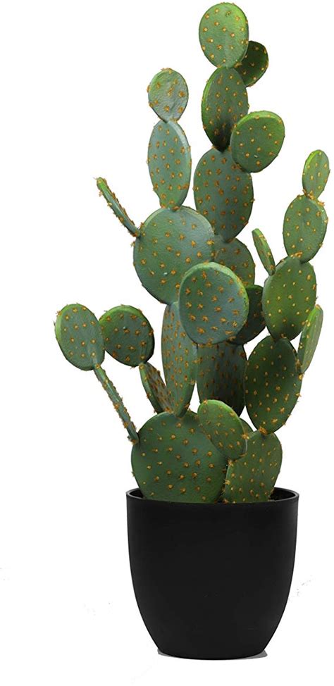 Ncyp 342 Large Natural Looking Artificial Faux Fake Prickly Pear