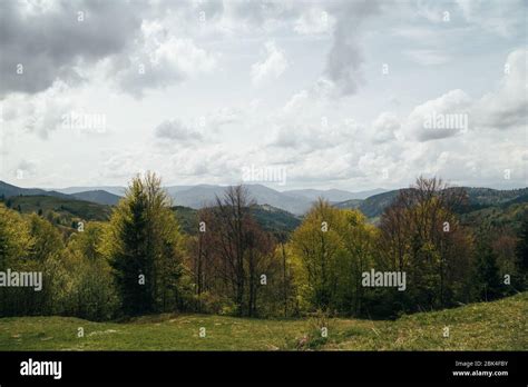 Spring In Mountains Beautiful Mountain Landscape Deciduous Forest And