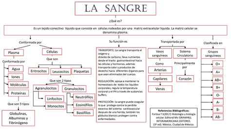 Mapa Conceptual De Sangre Principalmente Por La Sangre Es Un Tejido