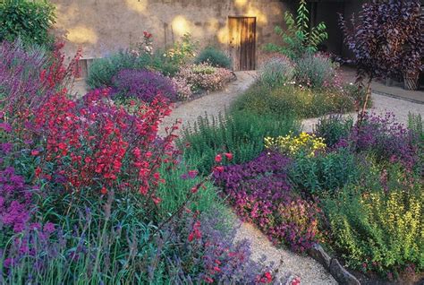 As a rule, they all like. Pin on Garden ideas